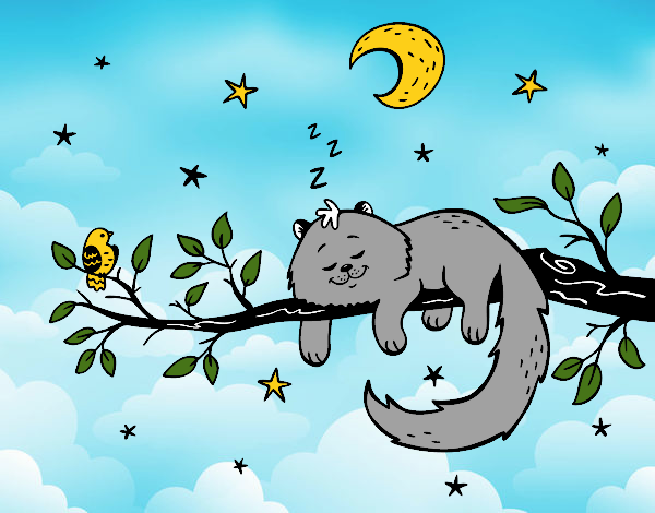 El gato y la luna