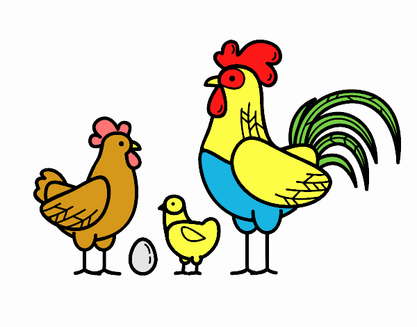 Familia gallina