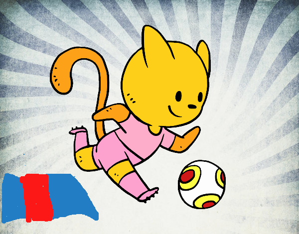 Gato jugando a fútbol