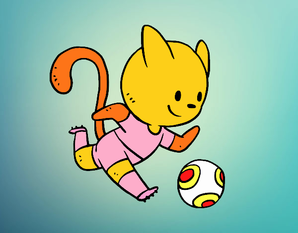 Gato jugando a fútbol