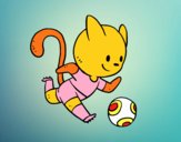 Gato jugando a fútbol