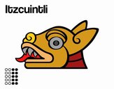 Los días aztecas: el perro Itzcuintli