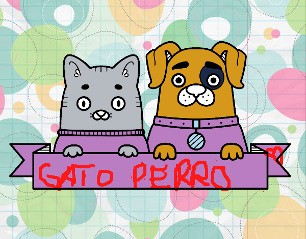 Perrito y gatito