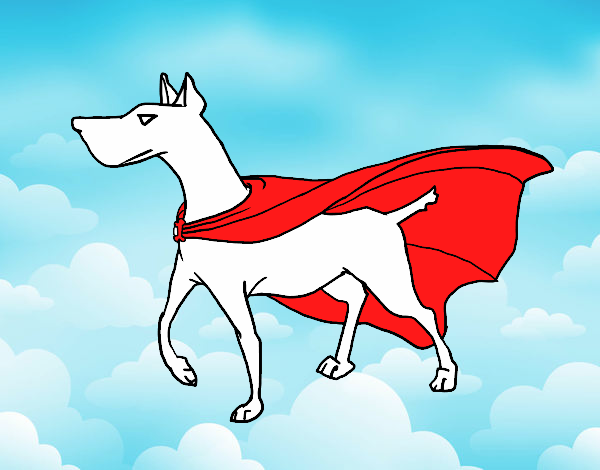 Perro superhéroe