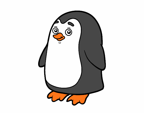 pinguino.