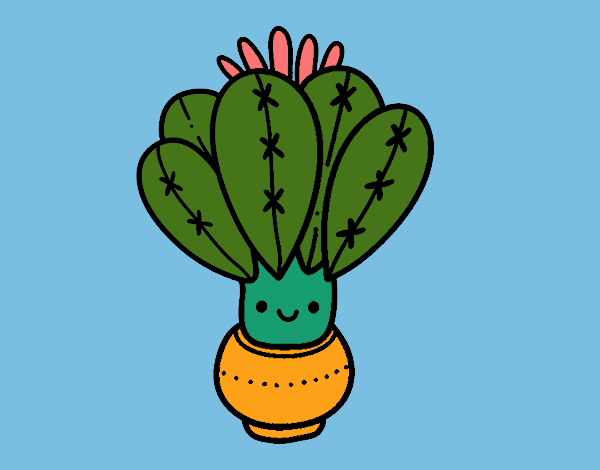 Un cactus con flor