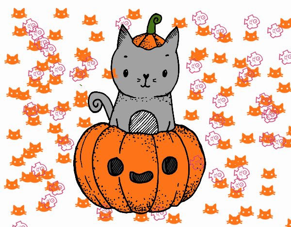 Un gatito de Halloween