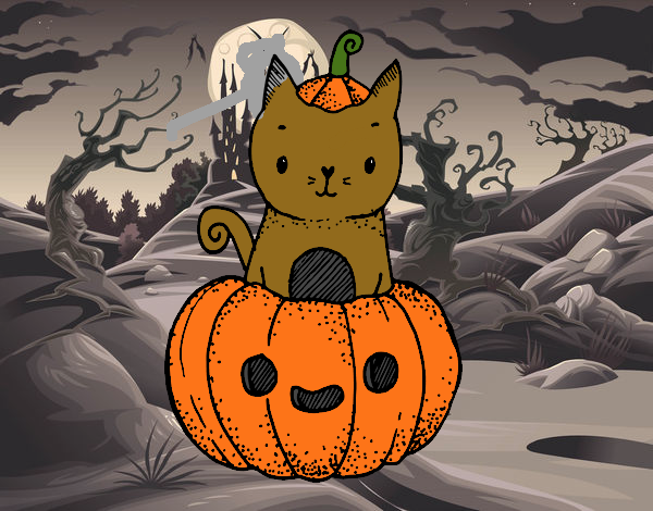 Un gatito de Halloween