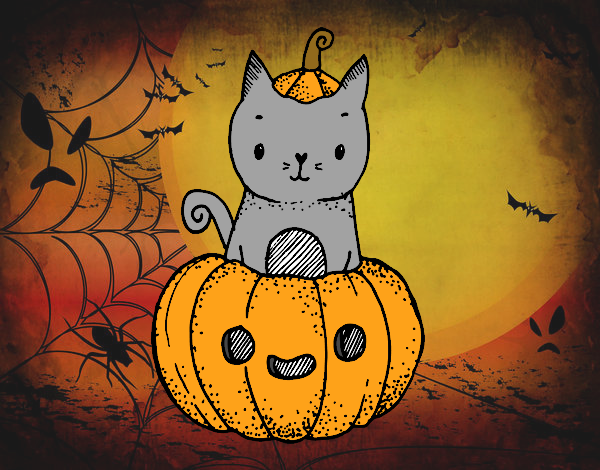 Un gatito de Halloween