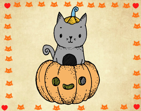 Un gatito de Halloween