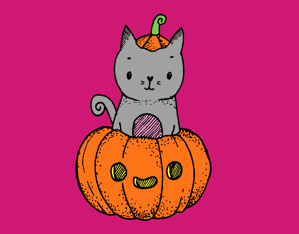 Un gatito de Halloween