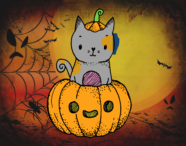 Un gatito de Halloween