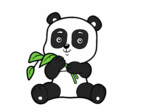 panda