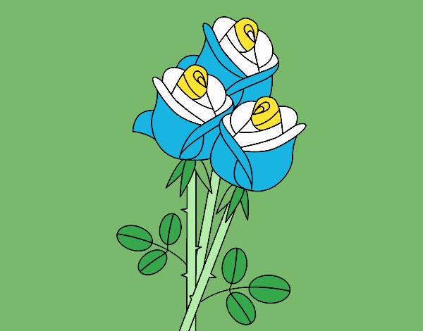 La Rosa de Argentina!
