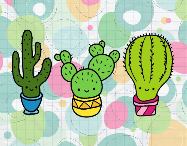 3 mini cactus