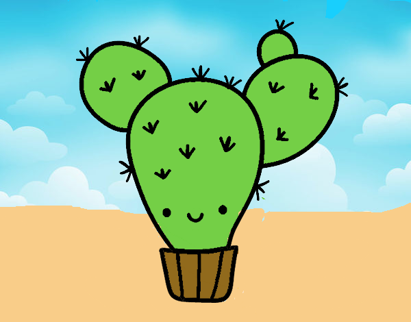 Cactus nopal