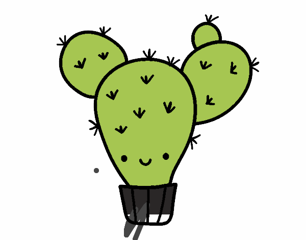 Cactus nopal