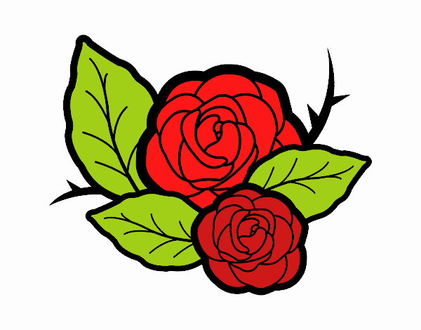 Dos rosas