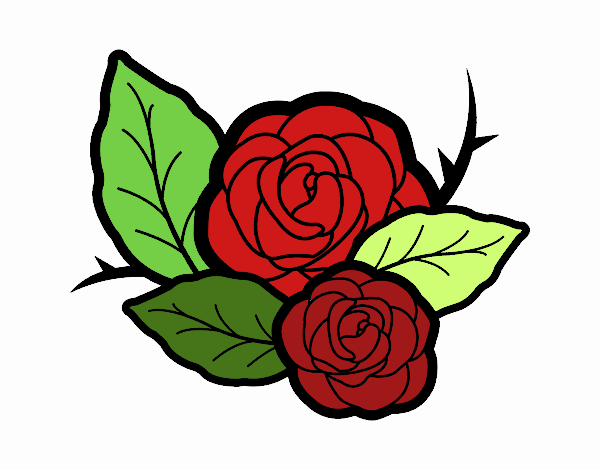 Dos rosas