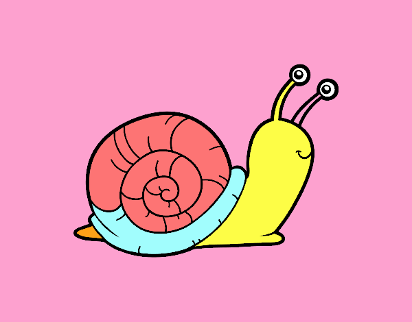 El caracol