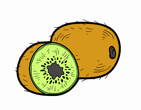 El kiwi