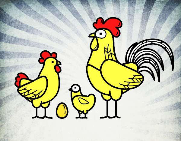 Familia gallina