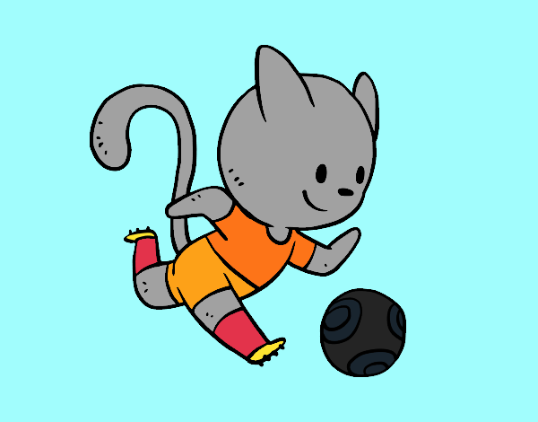 Gato jugando a fútbol