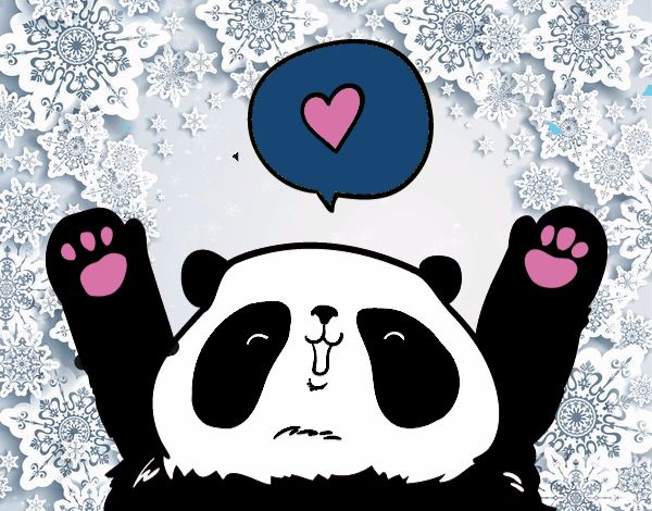 Panda enamorado