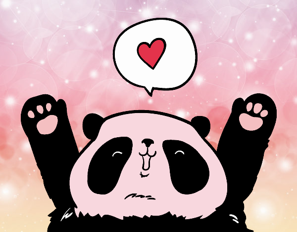 Panda enamorado