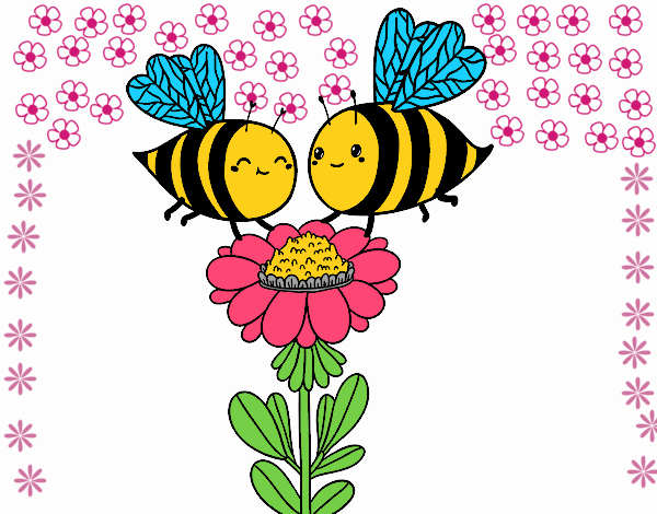 Pareja de abejas