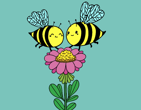 Pareja de abejas