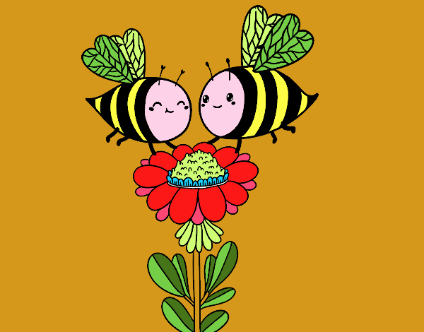 Pareja de abejas