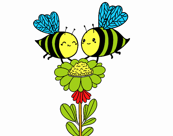 Pareja de abejas