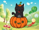 Un gatito de Halloween