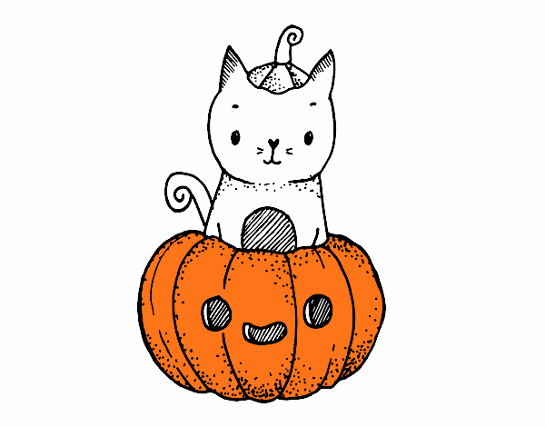 Un gatito de Halloween