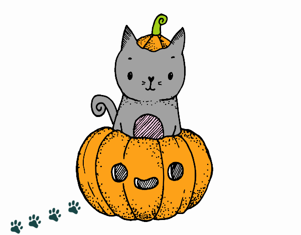 Un gatito de Halloween