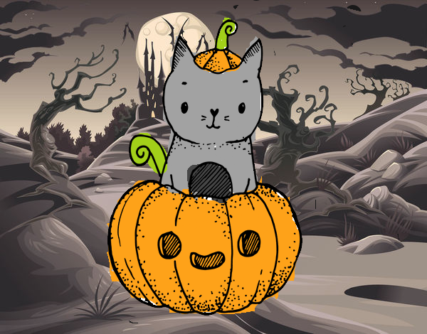 gato hallowen