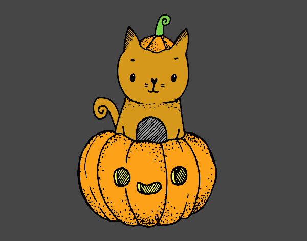 Un gatito de Halloween