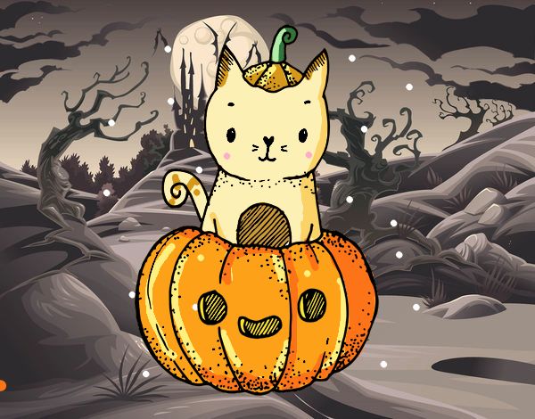 Un gatito de Halloween