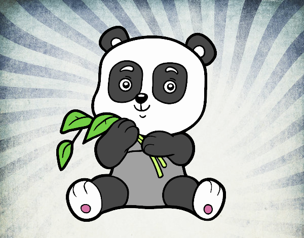 Un oso panda