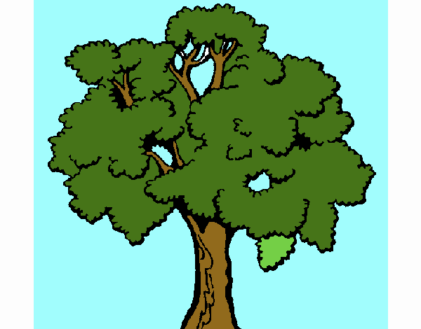 Árbol 1