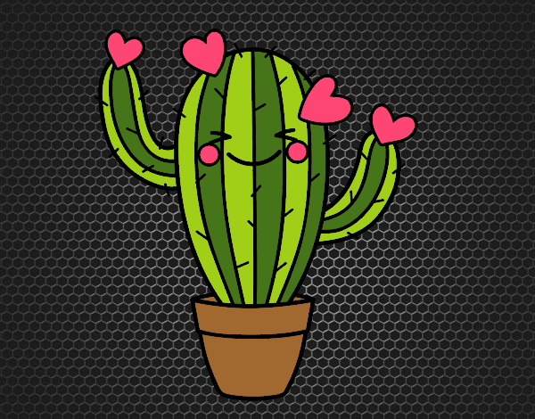 Cactus corazón