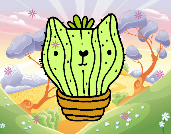 Cactus gato