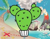 Cactus nopal