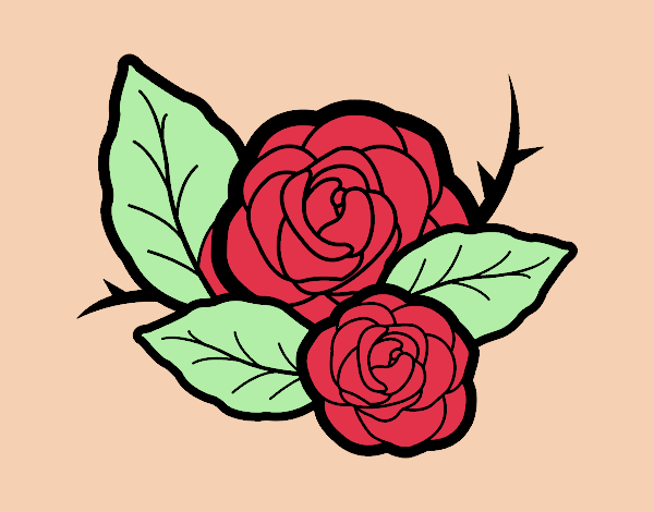 Dos rosas