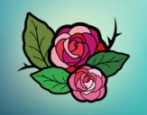 Dos rosas