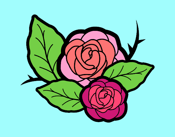 Dos rosas