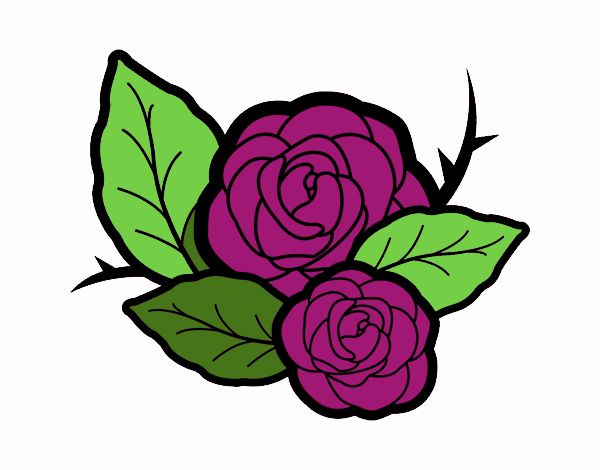 Dos rosas