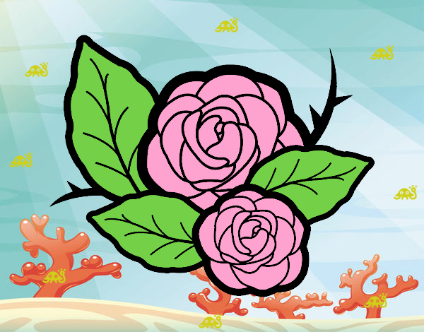 Dos rosas