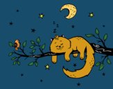 El gato y la luna